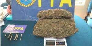 Diario HOY | Estudiantes de una escuela rural tenían una cosecha de marihuana dentro del colegio