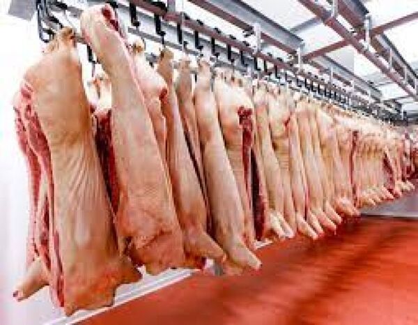 Evaluación de carne porcina fue satisfactoria, afirman