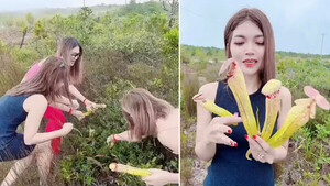 Diario HOY | Tres mujeres arrancan unas plantas, burlándose de su forma fálica en un video viral