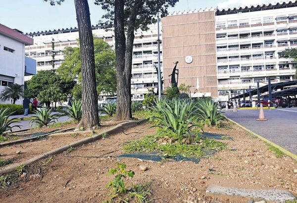 Pésimo estado de jardines del IPS pese a millonarios contratos - Nacionales - ABC Color