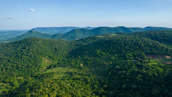 Guairá: Reforestan bosques del Ybytyruzú con 200.000 árboles