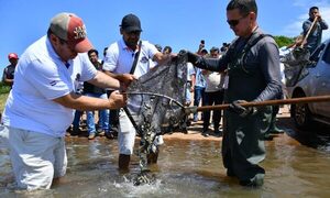 Itaipú se suma al Día Mundial de la Migración de Peces con repoblamiento y concienciación – Diario TNPRESS