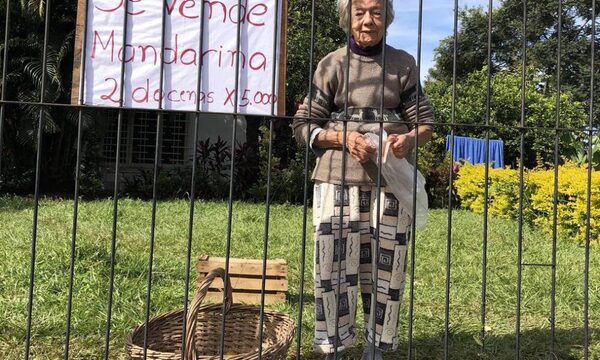 La abuelita de las mandarinas, un viral de amor