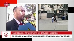 Bogarín dice que se siente presionado y que no pone palos a la rueda en ternas para el TSJE - Megacadena — Últimas Noticias de Paraguay