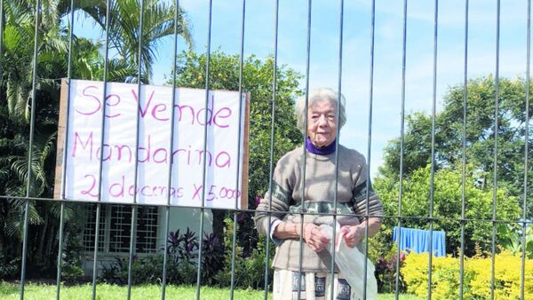 Abuelita vendedora de mandarina cautivó al rollo: "Yo quiero trabajar"