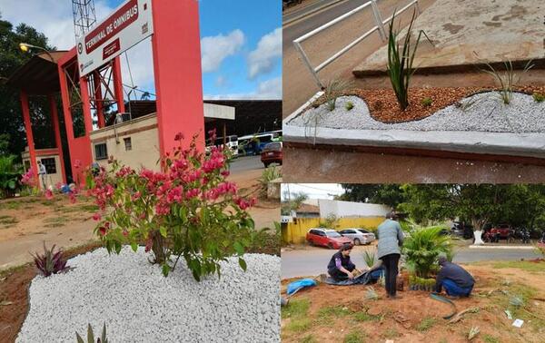 Alumnos hermosearon la Terminal de Ómnibus de Coronel Oviedo – Prensa 5