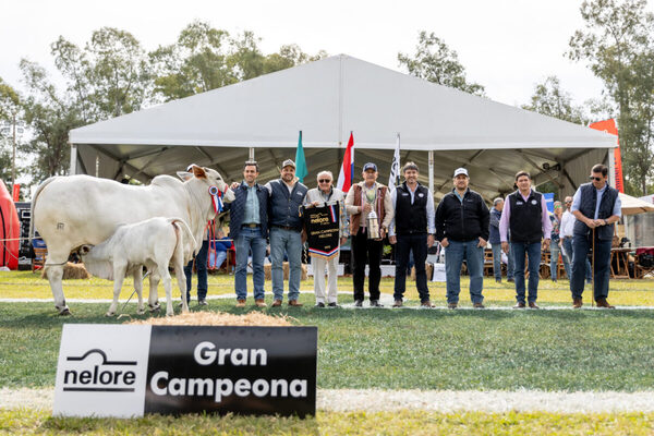 Goya S.A. dominó en la pista de hembras mochas y astadas