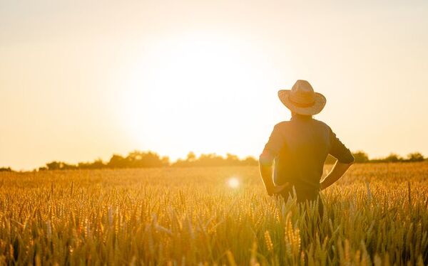 Revolucionando la tierra desde la agricultura - ABC Revista - ABC Color