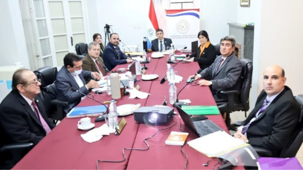 PLRA denuncia intromisión de Cartes en el TSJE - El Independiente