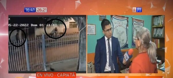 ¡El colmo! Ladrones se roban circuito eléctrico de escuela en Capiatá | Noticias Paraguay