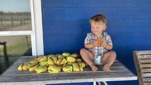 Niño aprovechó el cel desbloqueado de su mamá y pidió 31 hamburguesas