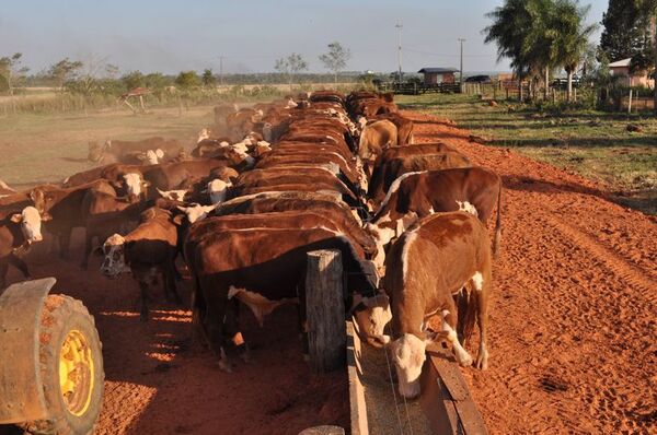 Lamentan la desventaja de Paraguay de  no poder exportar carne a China - Nacionales - ABC Color