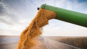 USDA indica buen progreso en la siembra de soja y maíz en los EE.UU. con mejores condiciones climáticas