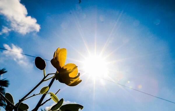¿Ya entra el ‘calorcito’? Meteorología anuncia martes fresco a cálido