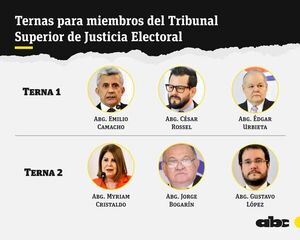 Senado no tiene facultad para devolver terna para TSJE, afirma presidente del CM - Nacionales - ABC Color