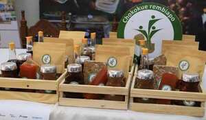 Feria de la Agricultura Familiar se realizará el viernes 27 de mayo en Pilar