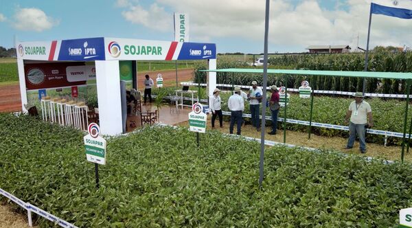 SOJAPAR marcó presencia en la Feria Innovar cerca de los productores