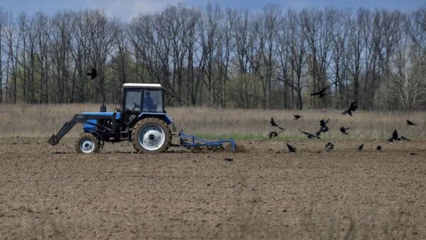 Imágenes muestran el robo de grano ucraniano por los rusos