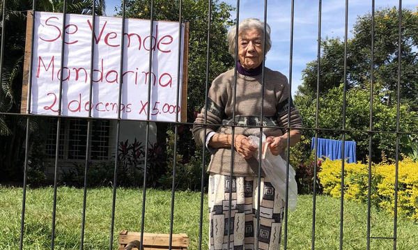 La abuelita de las mandarinas, un viral de amor - Noticiero Paraguay