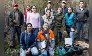 Realizan mitigación ambiental en acceso rural al segundo puente