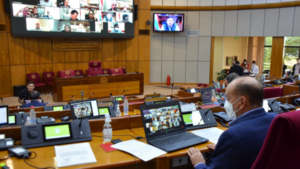 Senadores analizarán proyecto que pretende incorporar el sicariato en el Código Penal - El Independiente
