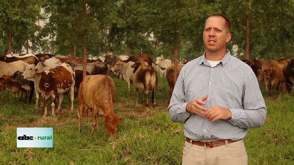 Manejo reproductivo y nutricional de ganado en Sistema Silvopastoril - ABC Rural - ABC Color