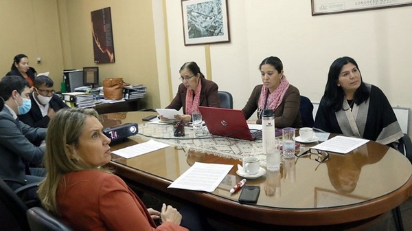 Dos proyectos de desafectación recibieron dictamen de aprobación en la Comisión de Desarrollo Social