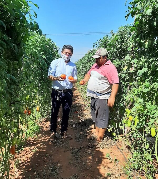 Unos 400 emprendedores acceden a créditos para generar alimentos y recursos de valor en la lucha contra la pobreza – La Mira Digital