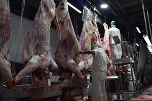 Exportación de carne mejoró en facturación y bajó en volumen, entre enero y abril del 2022