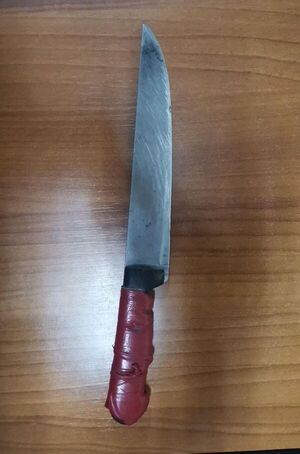Detienen a adolescente de 14 años por intento de robo - Nacionales - ABC Color