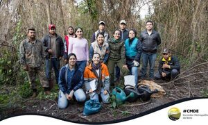 Con reforestación para mitigar impacto del Corredor Metropolitano del Este – Diario TNPRESS