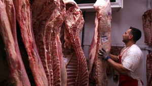 Aceites, carne y energía fueron los productos más exportados a abril