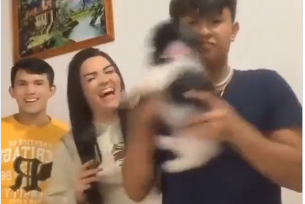 Animaleros denuncian a Tiktokers por maltratar a un perrito - Te Cuento Paraguay
