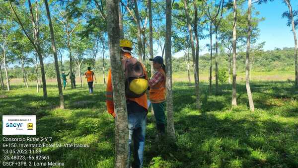 Diario HOY | Culminan inventario forestal en la nueva variante de Itacurubí de la Cordillera