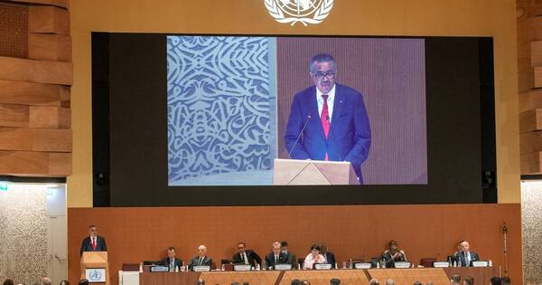 La Nación / OMS: brote de viruela del mono “puede controlarse” porque riesgo es “bajo”