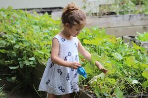 Estas son las mejores plantas para que los niños cultiven su propio jardín