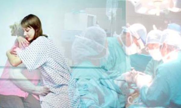 Buscan fortalecer la donación de órganos a través de la capacitación del personal sanitario - OviedoPress