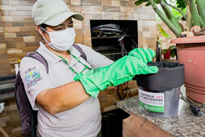Casos de dengue desata alerta en Foz de Yguazú - La Clave