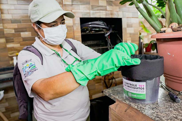 Casos de dengue desata alerta en Foz de Yguazú - La Clave