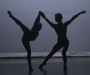 El Buenos Aires Ballet vuela alto en Asunción - Cultura - ABC Color