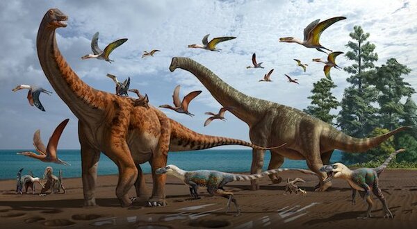 Diario HOY | La mayoría de los dinosaurios tenían sangre caliente, como las aves