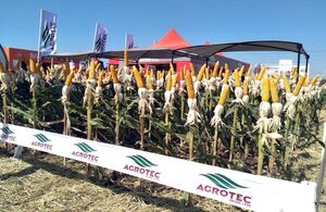 Agrotec muestra híbridos de maíz - Expo Pioneros 2022 - ABC Color