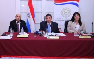 Paciello reiteró que Senadores no puede devolver ternas y defendió inclusión de postulante - Nacionales - ABC Color
