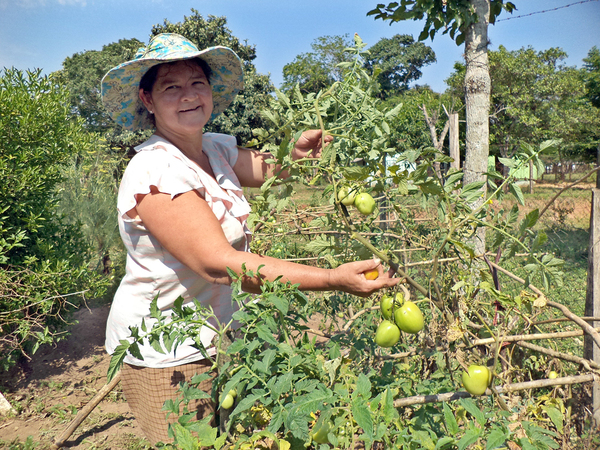 Luego de 14 años se actualizará información del sector rural con el censo agrícola nacional - .::Agencia IP::.