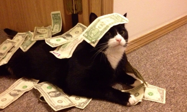 Tomassino, el gato italiano que heredó 13 millones de dólares
