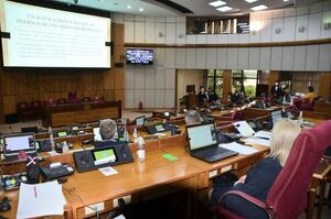 Indert e Itaipú son las que más ocultan datos e informes, denuncian senadores    - Nacionales - ABC Color