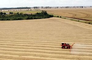 Sector agrícola de Brasil analiza alternativas naturales a fertilizantes rusos - Mundo - ABC Color