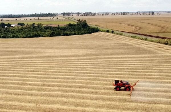 Sector agrícola de Brasil analiza alternativas naturales a fertilizantes rusos - Mundo - ABC Color