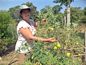 Luego de 14 años se actualizará información del sector rural con el censo agrícola nacional - El Trueno