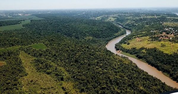 Acciones de mitigación ambiental en acceso al Puente de la Integración - ABC en el Este - ABC Color